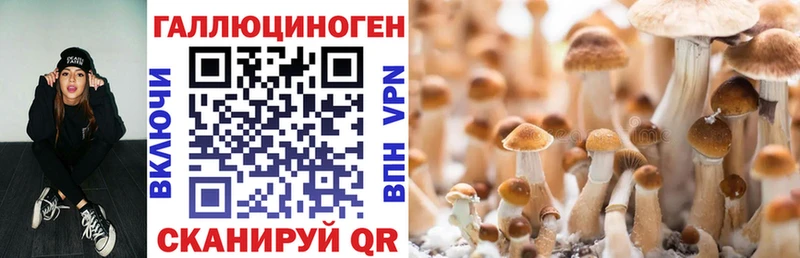 маркетплейс телеграм  Приволжский  Псилоцибиновые грибы Cubensis  даркнет сайт 